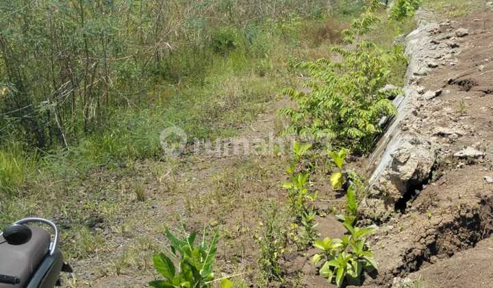 For Rent Land 9 Are SHM in Pererenan... For Rent Land 9 Are SHM in Pererenan...