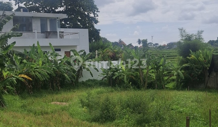 For Rent 10 Are Land with SHM in Tumbakbayuh