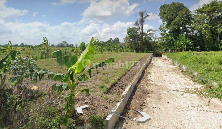 Tanah Disewakan 28 Are Lokasi Di Kaba2 Shm 2