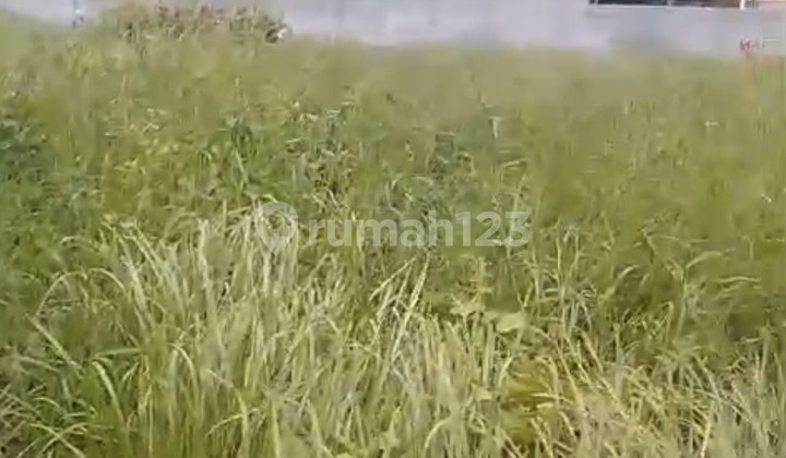 Disewakan Tanah 15 Are Shm Di Seseh Beach 