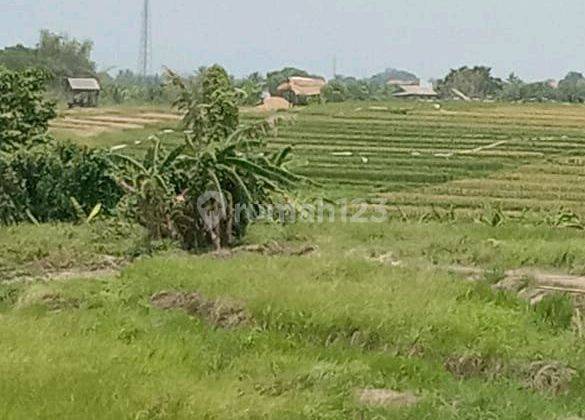 Tanah Di Kaba2 27 Are SHM - Sertifikat Hak Milik 2