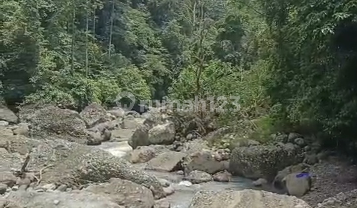 For Sale 6.2 Hectares Land with SHM in Balian - Tabanan