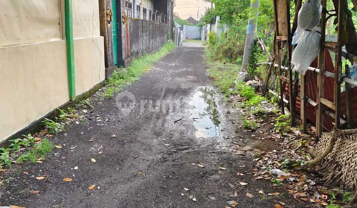 For Rent Land 2.25 Are SHM in Pererenan For Rent Land 2.25 Are SHM in Pererenan