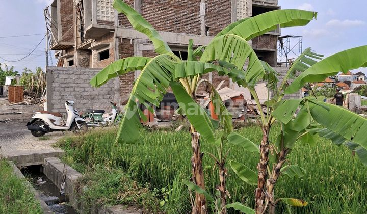 15 Are Lease Land in Canggu Padonan SHM. 15 Are Lease Land in Canggu Padonan SHM.