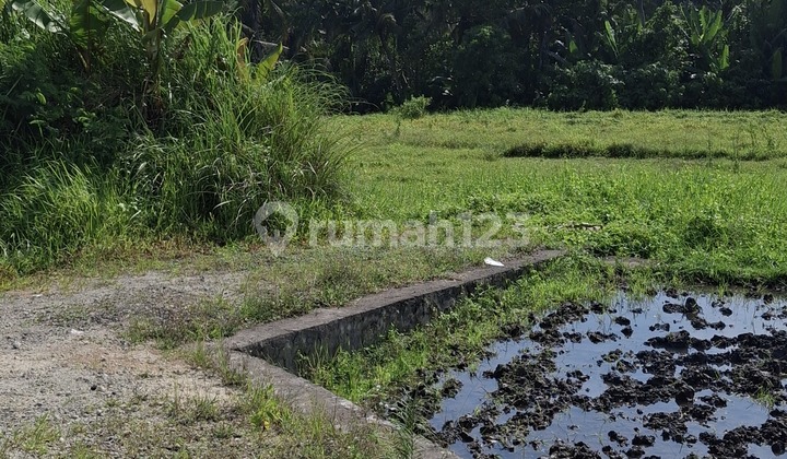 Dijual Tanah 23 Are.shm Di Kaba-kaba..... Dijual Tanah 23 Are.shm Di Kaba-kaba.....