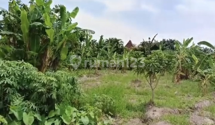 Land in Berawa, Canggu 10 Are - Freehold Title Certificate (SHM)