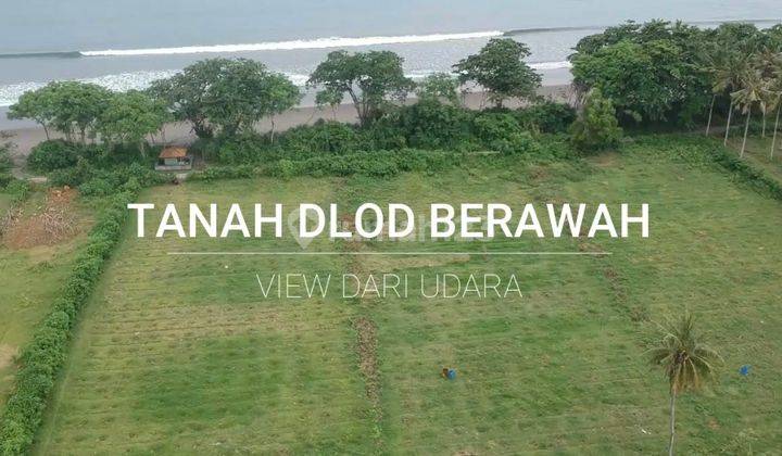 Tanah 2 Hektar Di Delod Berawah Beach SHM - SHM 2