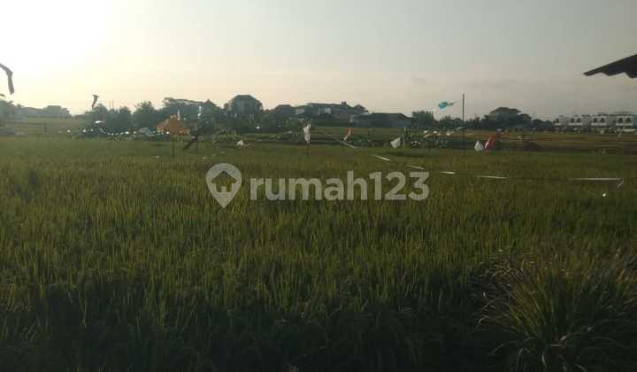 Disewakan.tanah.20 Are Shm Di Seseh.-.beach