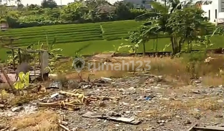 For Rent 8.5 Are Land with SHM in Tibubeneng