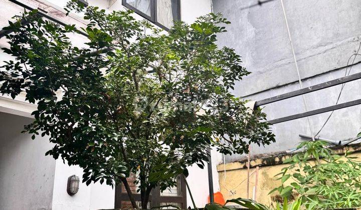 Rumah Disewakan 1.5 Are Lantai 2 Butuh Renovasi 2