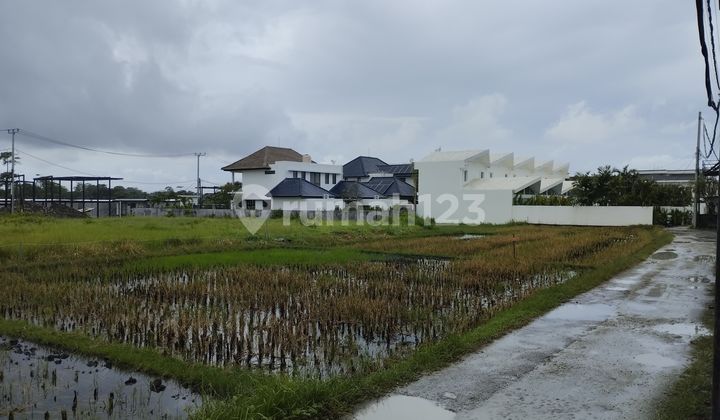 For Rent 10 Are Land with SHM on Jln. Subak Sari - Berawa