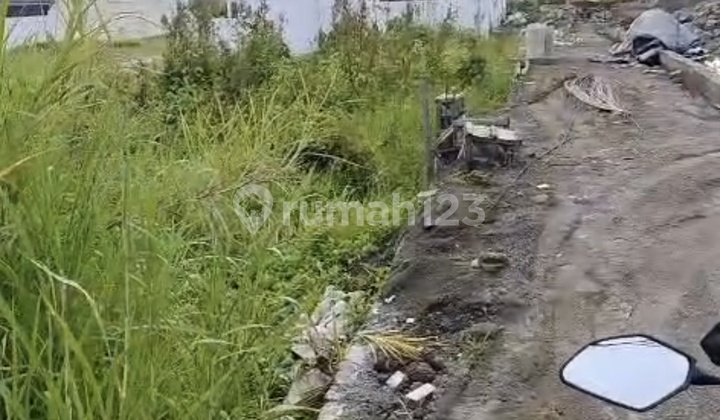 Disewakan Tanah 6 Are SHM di Seseh......