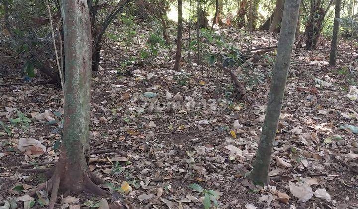 Tanah 30 Are Di Buwit Los Sungai Zona Kuning 1