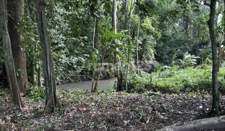 Disewakan Tanah 3.4 Are Shm Di Tumbak Bayuh
