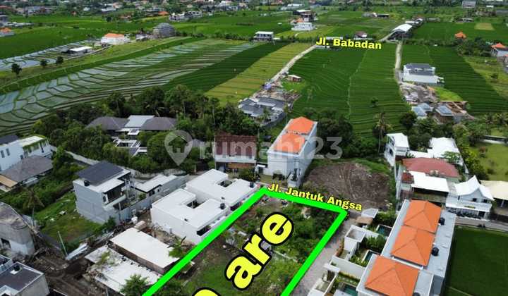 Dijual Tanah 9 Are Shm Di Pererenan- Jantuk Angsa