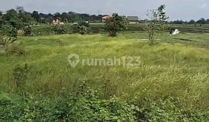 Dijual Tanah 14 Are Shm Di Kaba-kaba....