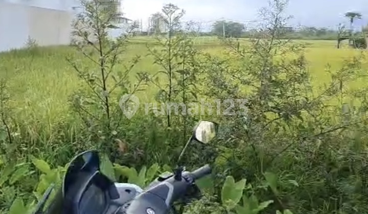 Disewakan Tanah 13 Are SHM di Cemagi....