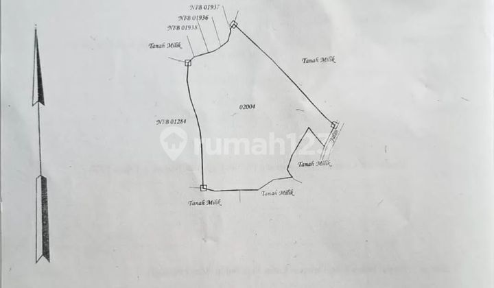 Land for Sale 1.48 Hectares in Singaraja.... Land for Sale 1.48 Hectares in Singaraja....