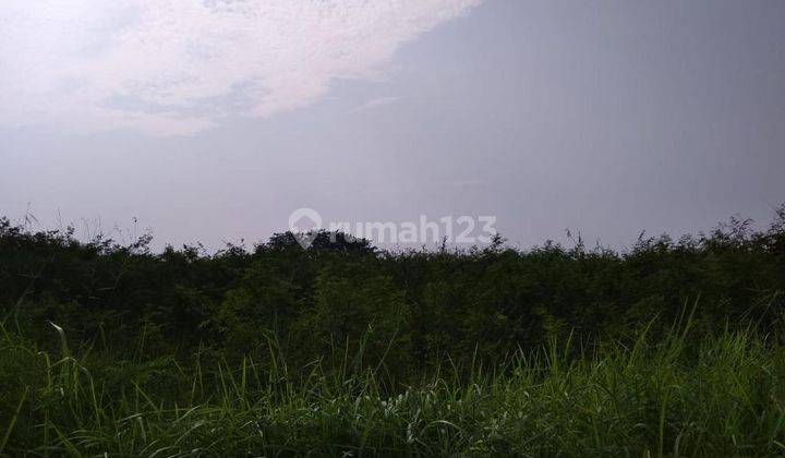 Dijual Tanah Kavling Industri Karawang Timur. Cocok Untuk Pabrik 5