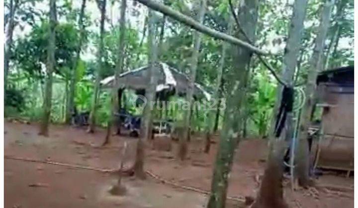 Dijual Cepat Tanah Di Lebak Banten 2