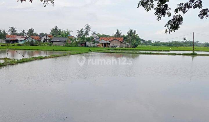 Dijual Cepat Tanah Di Paku Haji Tangerang 1