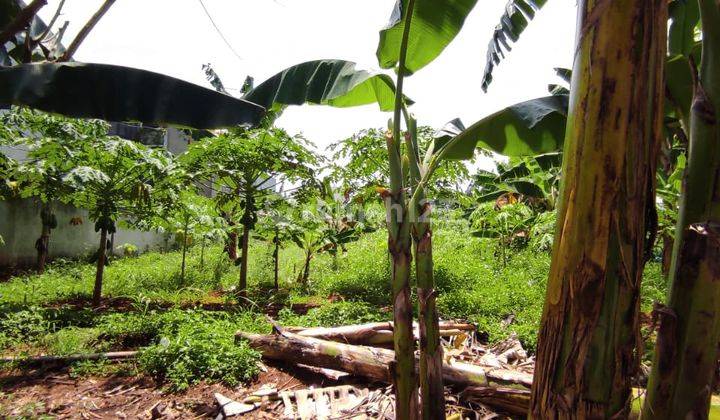  Tanah di Jl Andara Ujung 2, Pangkalan Jati SHM - Sertifikat Hak Milik 1