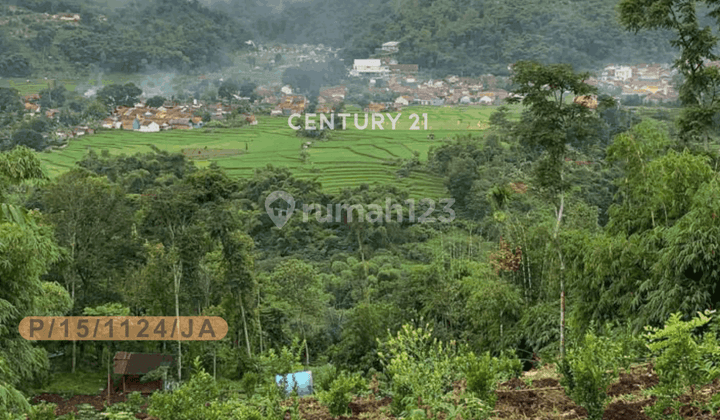 Dijual Tanah Luas Perkebunan Di Kabupaten Bandung 1