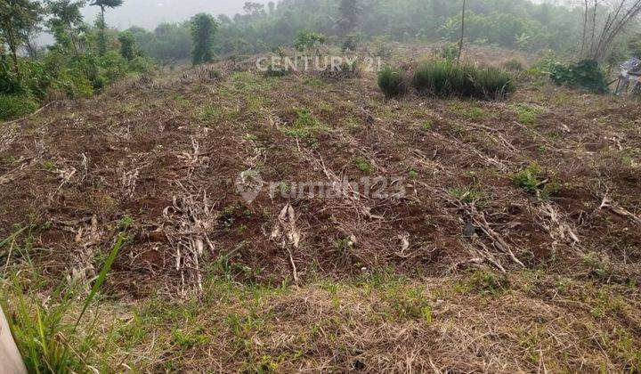 Dijual Tanah Luas Perkebunan Di Kabupaten Bandung 2