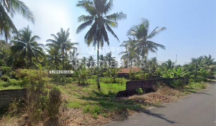 Large Plot of Land Ready to Build Near the Beach in Cimerak Pangandaran Large Plot of Land Ready to Build Near the Beach in Cimerak Pangandaran