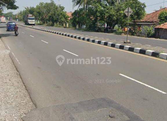 Jual Cepat Tanah Di Jalan Pantura - Subang 2