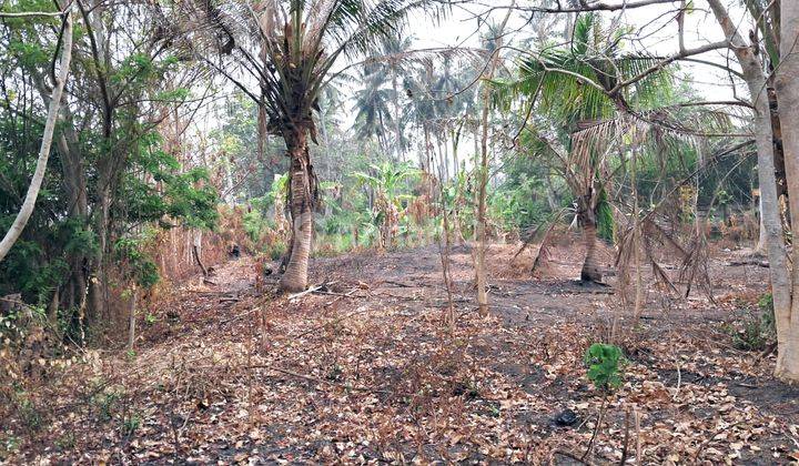 TANAH JALAN RAYA TANJUNG KAIT ROW JALAN BESAR 2