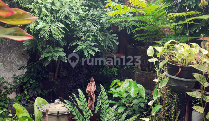 Rumah 1.5 Lantai, Nusa Loka Bsd, Posisi di Jalan Raya Nusaloka, bisa Dijadikan Ruko, Rumah Kost atau Hunian, Dekat Pasar Modern Bsd Rumah 1.5 Lantai, Nusa Loka Bsd, Posisi di Jalan Raya Nusaloka, bisa Dijadikan Ruko, Rumah Kost atau Hunian, Dekat Pasar Modern Bsd