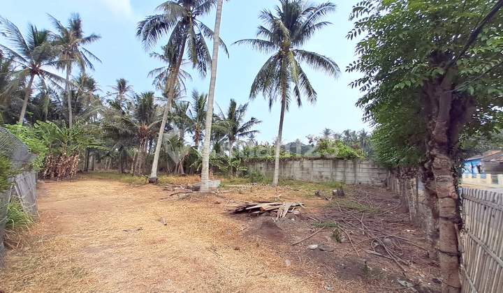 Kavling Tanah Hadap Jalan Raya Tanjung Kait Mauk Tangerang, Letter L, Dekat Laksana Business Park Kavling Tanah Hadap Jalan Raya Tanjung Kait Mauk Tangerang, Letter L, Dekat Laksana Business Park