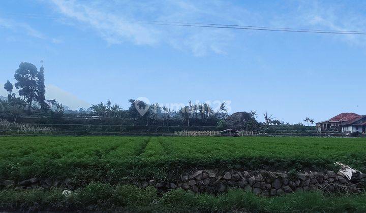 Tanah bagus di Ciwidey 8400 m² 1