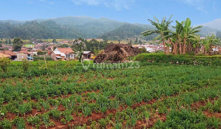 Tanah bagus di Ciwidey 8400 m² 7