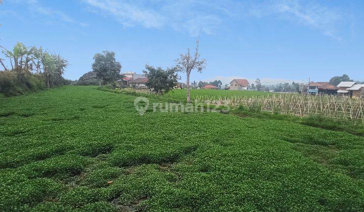 Tanah bagus di Ciwidey 8400 m² 9