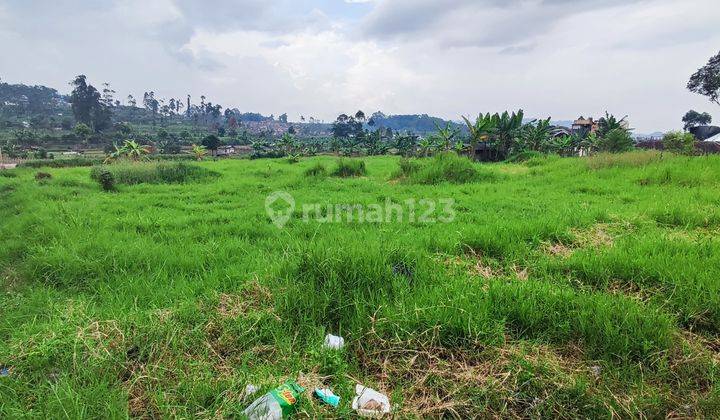 Tanah mainroad ciwidey Bandung SHM 4