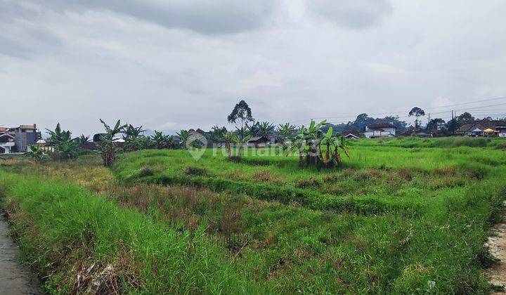 Tanah mainroad ciwidey Bandung SHM 5