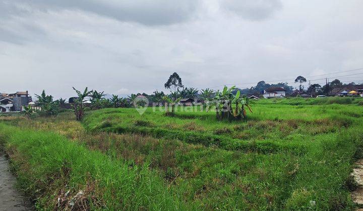 Tanah mainroad ciwidey Bandung SHM 6