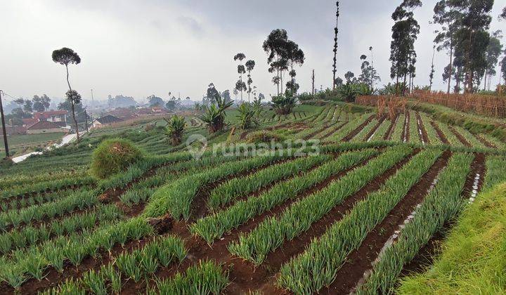 Tanah di Ciwidey cocok untuk Villa atau investasi 1