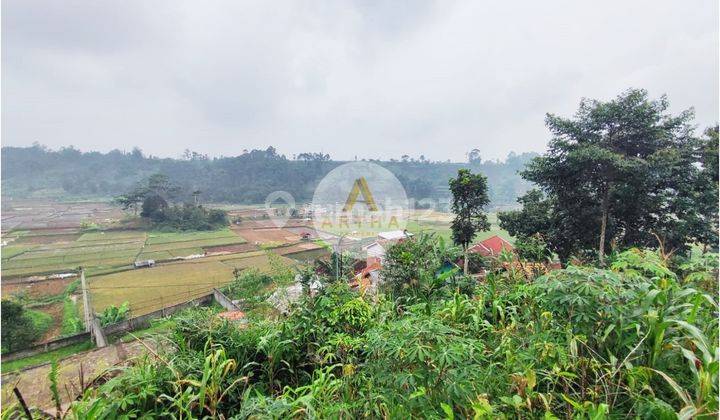 Tanah Cocok Untuk Villa di Pasirjambu Ciwidey 2.450 m² 2