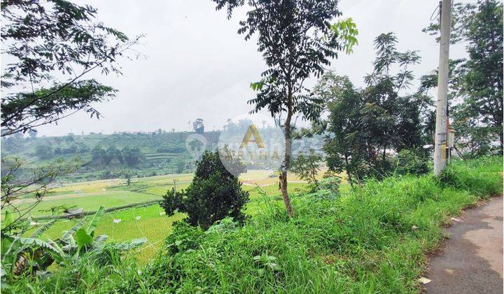 Tanah Sawah View Bagus Dan Luas di Ciwidey 1