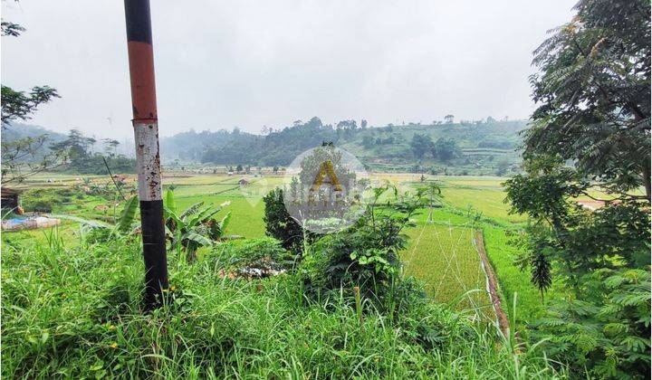 Tanah Sawah View Bagus Dan Luas di Ciwidey 2