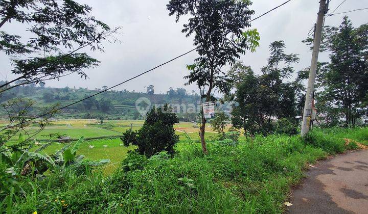 Tanah Sawah View Bagus Dan Luas di Ciwidey 2