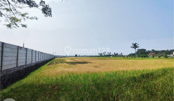 Tanah dekat Area industri Sukaluyu Cianjur 1