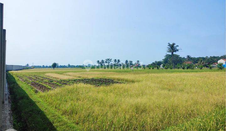 Tanah dekat Area industri Sukaluyu Cianjur 2