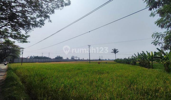 Tanah Siap Bangun di Sukaluyu Ciranjang Cianjur  2