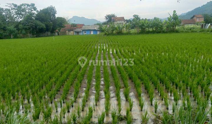 Tanah Datar Siap Bangun Di Sayap Batujajar  1