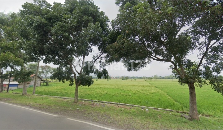 Tanah Siap Bangun Mainroad Cibogo Ciranjang Cianjur