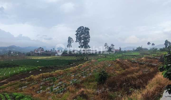Land Area in Ciwidey Suitable for Villa or Farming